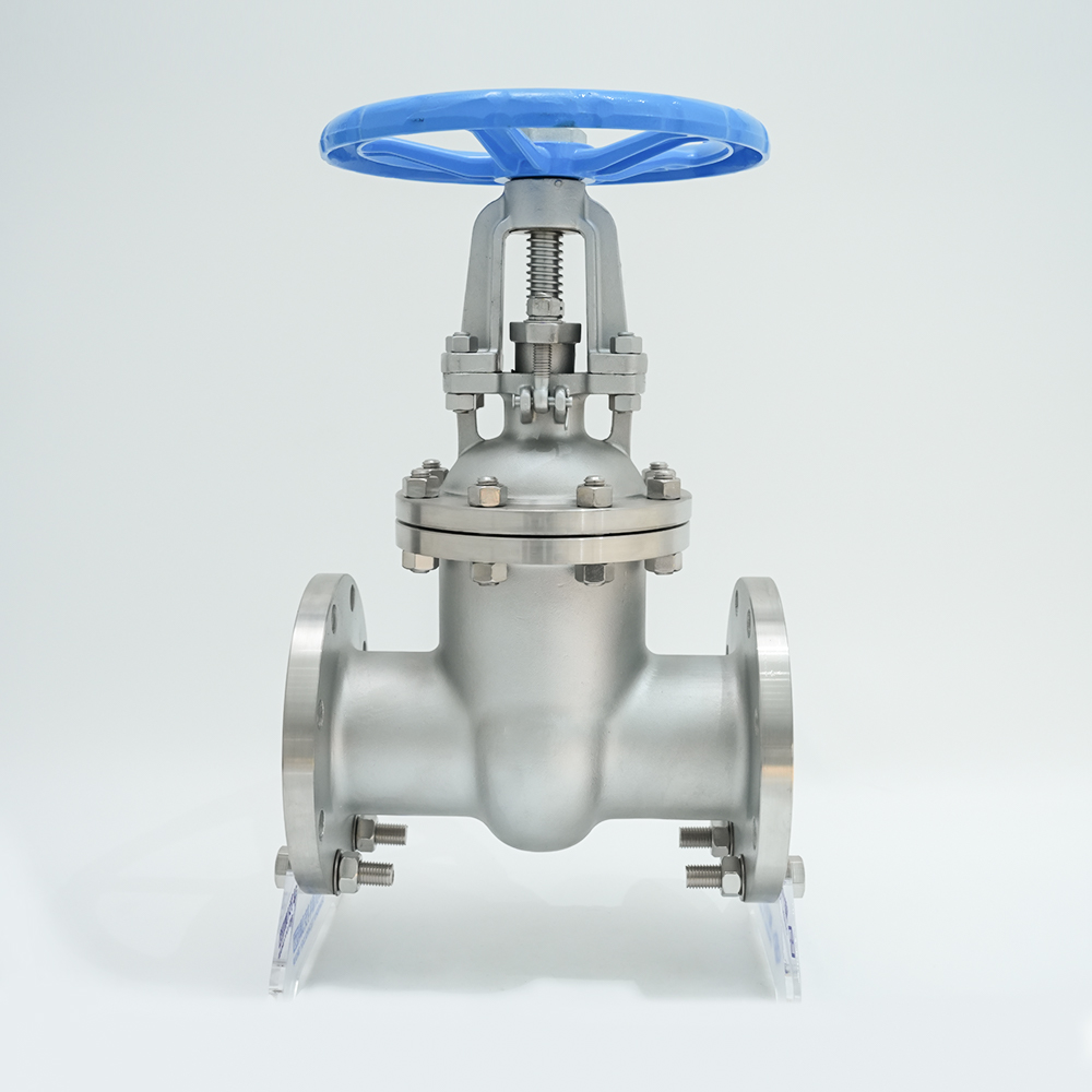 Přírubový ventil z nerezové oceli Z41W-16P