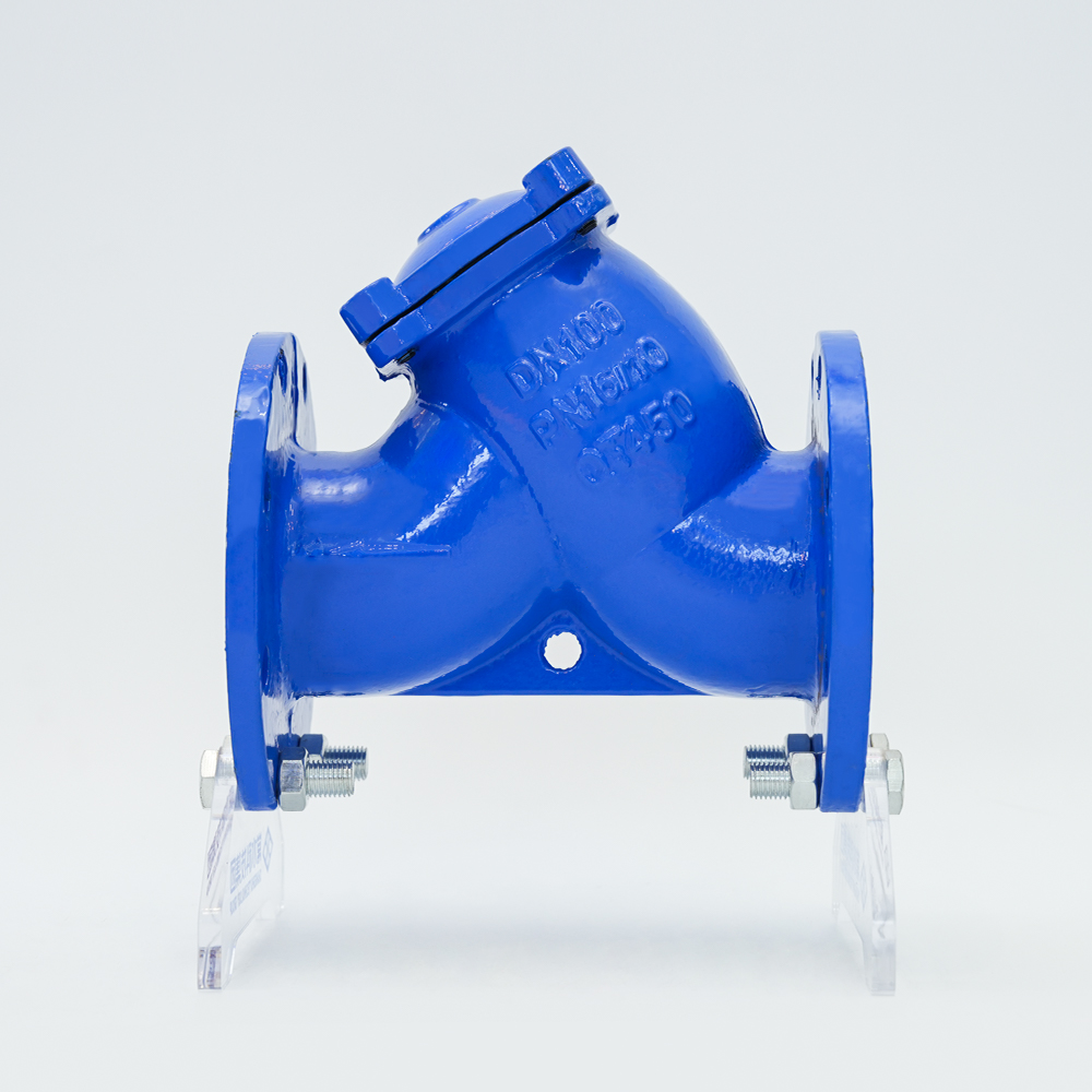 Litinový filtr typu Y GL41H-16Q